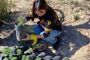 eco-club-reforestacion-prepa-pablo-livas-uanl-3