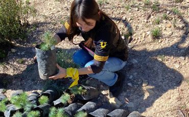 eco-club-reforestacion-prepa-pablo-livas-uanl-3
